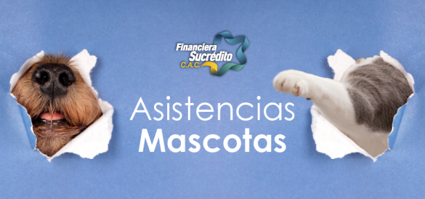 Portada Mascotas-07